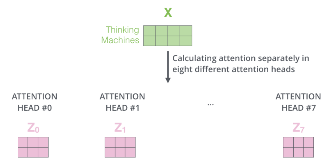 why-multi-headed-to-one-head